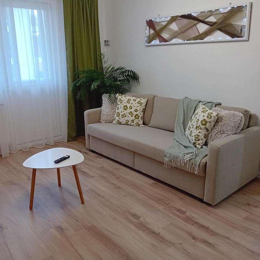 Harmonyhouse Apartment Брашов Екстериор снимка