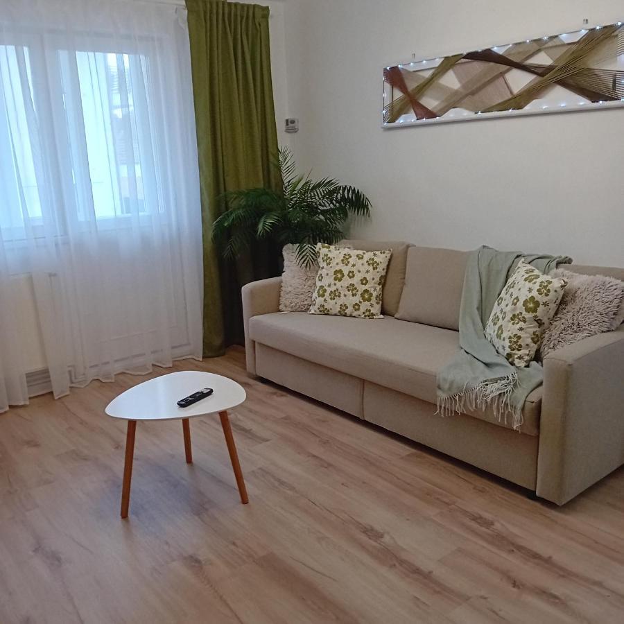 Harmonyhouse Apartment Брашов Екстериор снимка