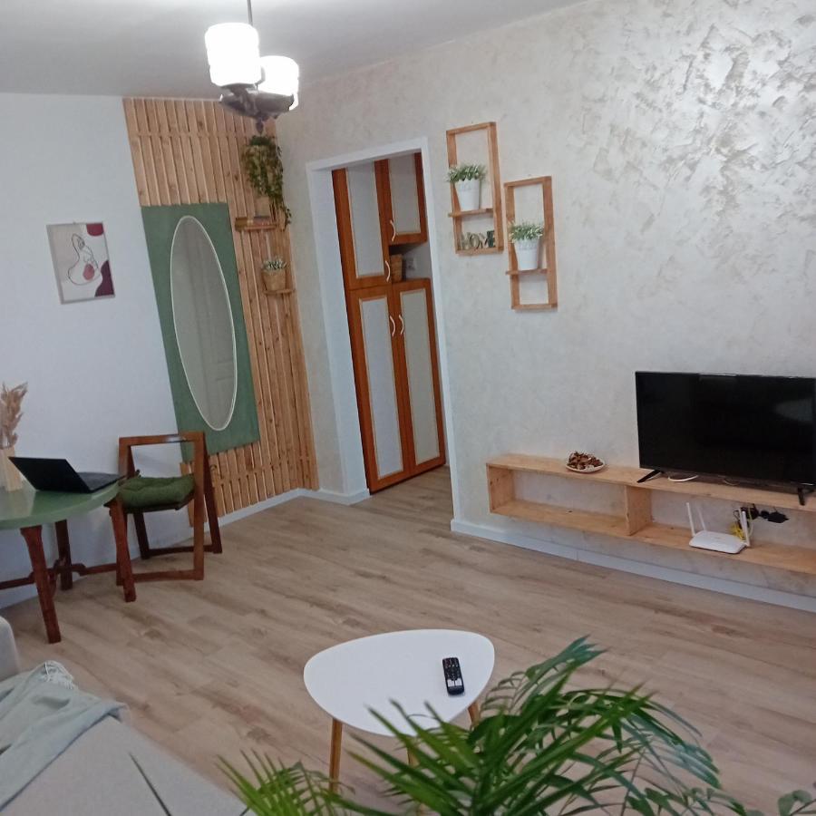 Harmonyhouse Apartment Брашов Екстериор снимка