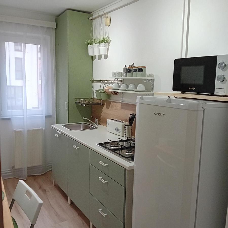 Harmonyhouse Apartment Брашов Екстериор снимка